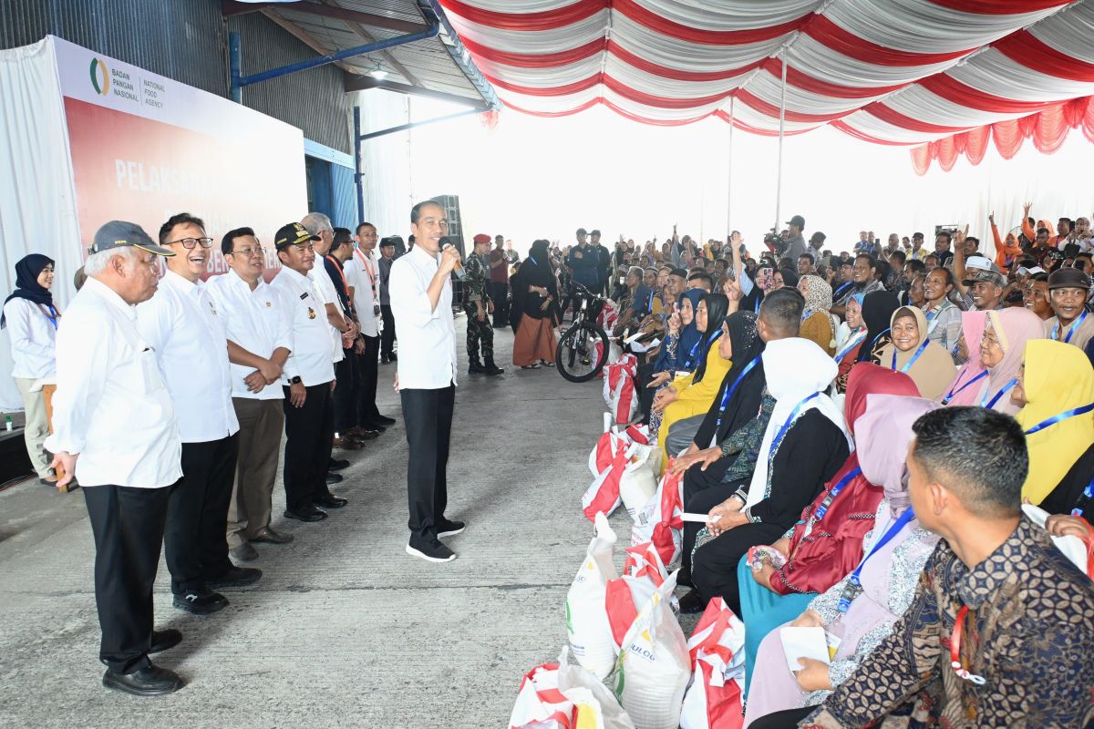 Govt facing dilemma in balancing rice price: President Jokowi