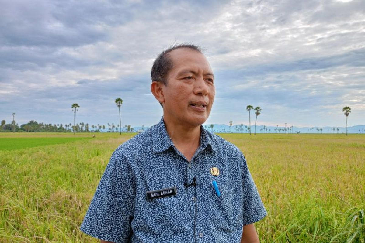 Danau Tempe butuh mekanisasi pengaturan air untuk pertanian