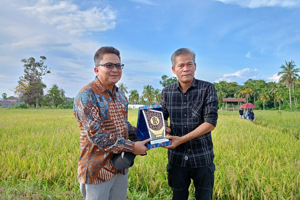 Pemkab Bone bekerja sama dengan TNI cetak 2.070 ha lahan sawah gogo