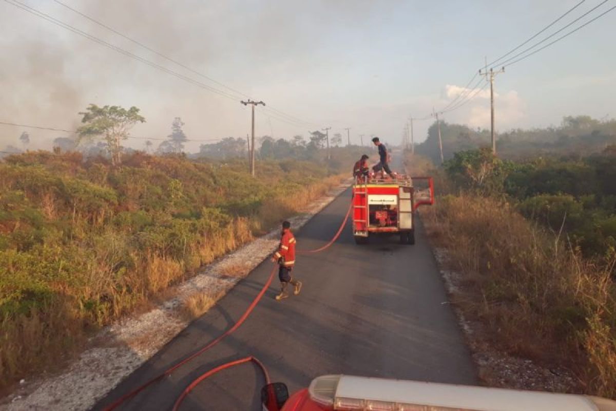 Disdamkar Natuna padamkan kebakaran lahan seluas lima hektare 