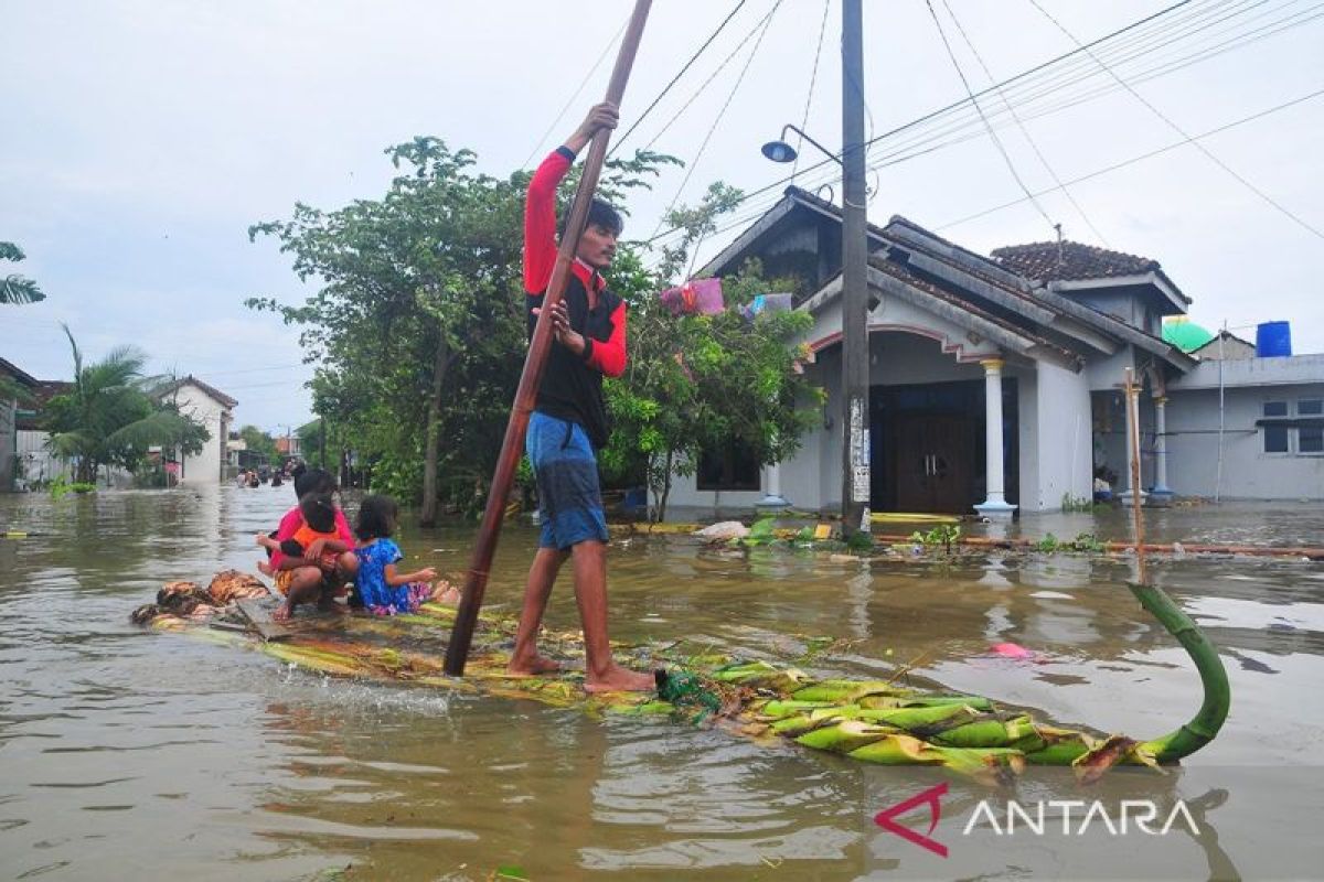 BRIN: Pembabatan hutan sebabkan Selat Muria jadi daratan