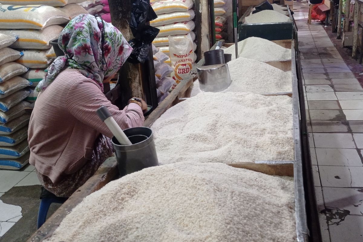 Harga beras medium pada tingkat pengecer di Lebak turun