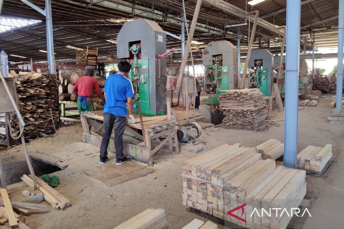Perusahaan kayu di Bengkulu terima sanksi dari Pemerintah Pusat