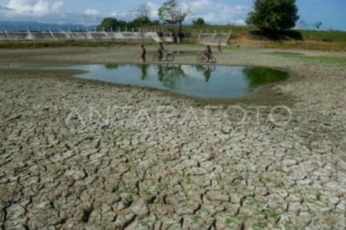 BMKG imbau warga kurangi aktivitas luar ruangan saat cuaca panas