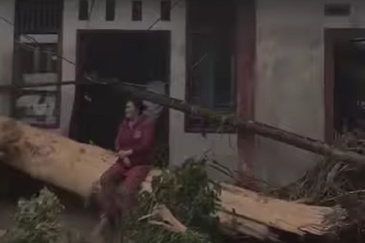 Diduga pemicu bencana, warga Lubuk Nyiur harapkan aparat harus serius tindak ilegal logging