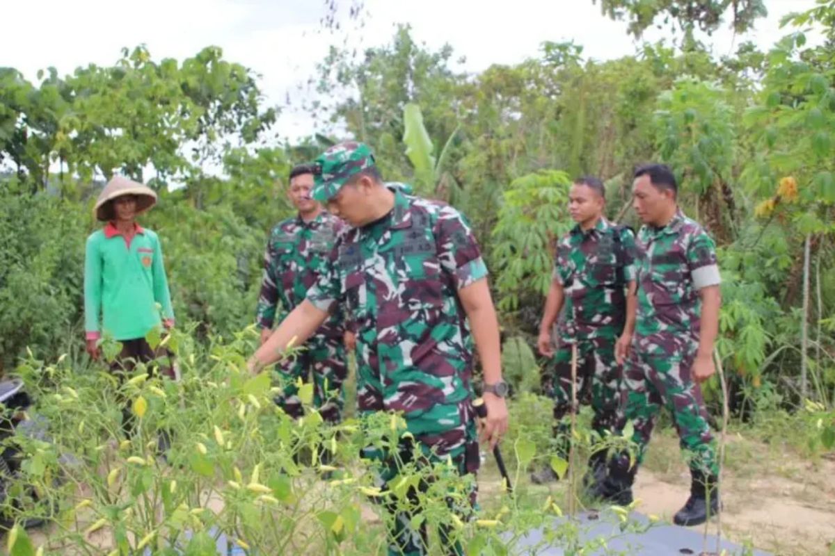 Kodim 0901/Samarinda perluas kebun demi ketahanan pangan