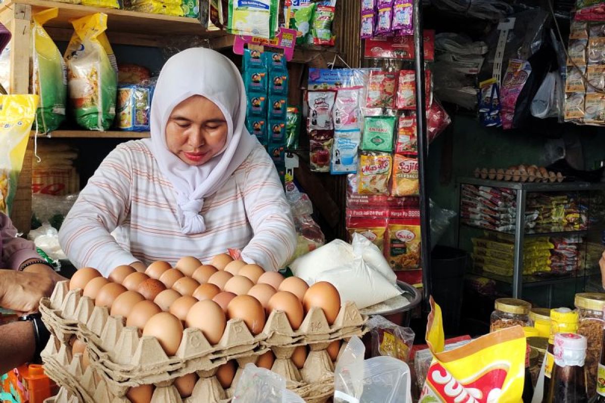 Ketersediaan telur ayam ras di Lampung capai 40.634 ton untuk Ramadhan