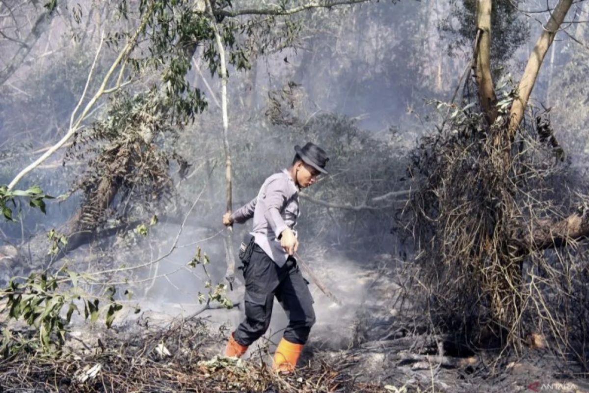 Kapolda Riau ingatkan perusahaan menjaga lahan dari karhutla