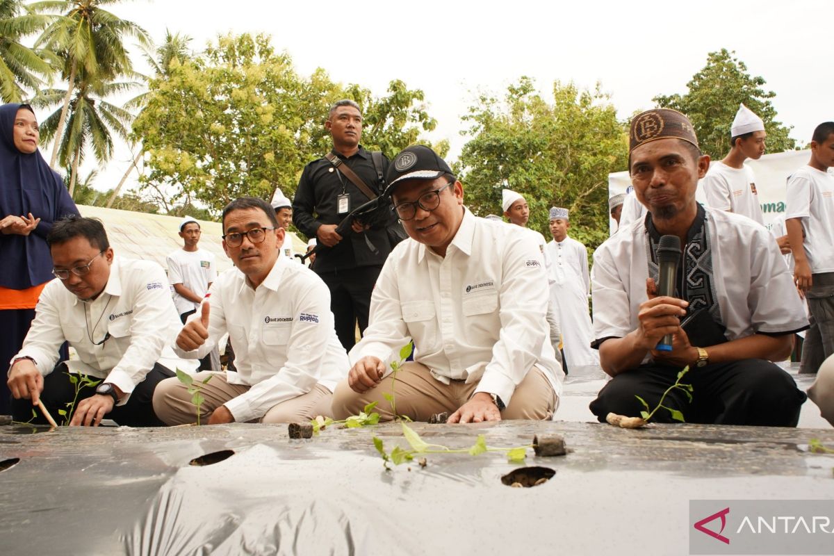 BI tanam cabai di Pesantren Hubulo Gorontalo