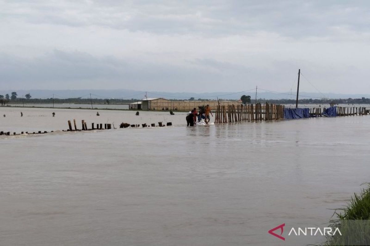 Banjir di Kabupaten Demak dilaporkan semakin meluas