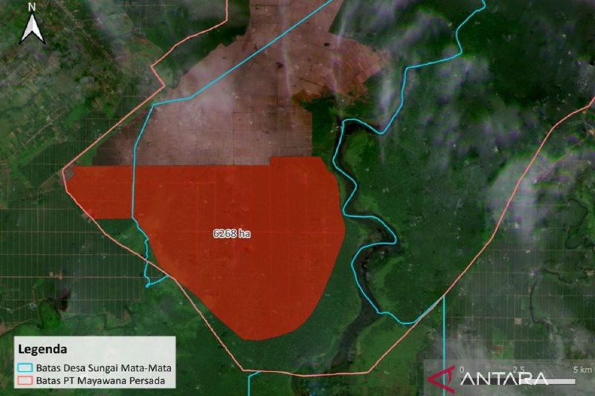 NGO Kalbar minta Kemenhut tindak perusahaan pembabat hutan lindung