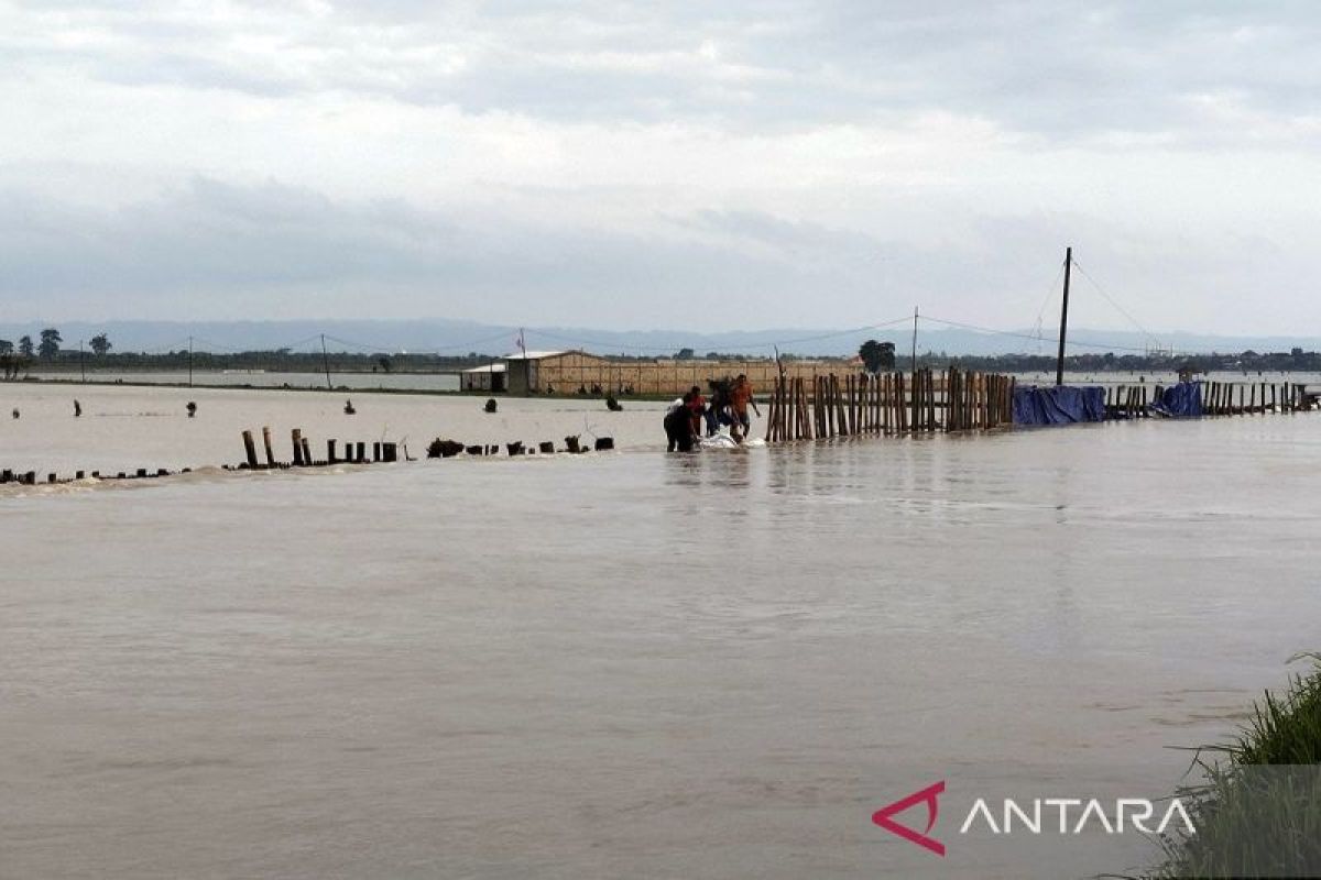 Banjir di Kabupaten Demak semakin meluas