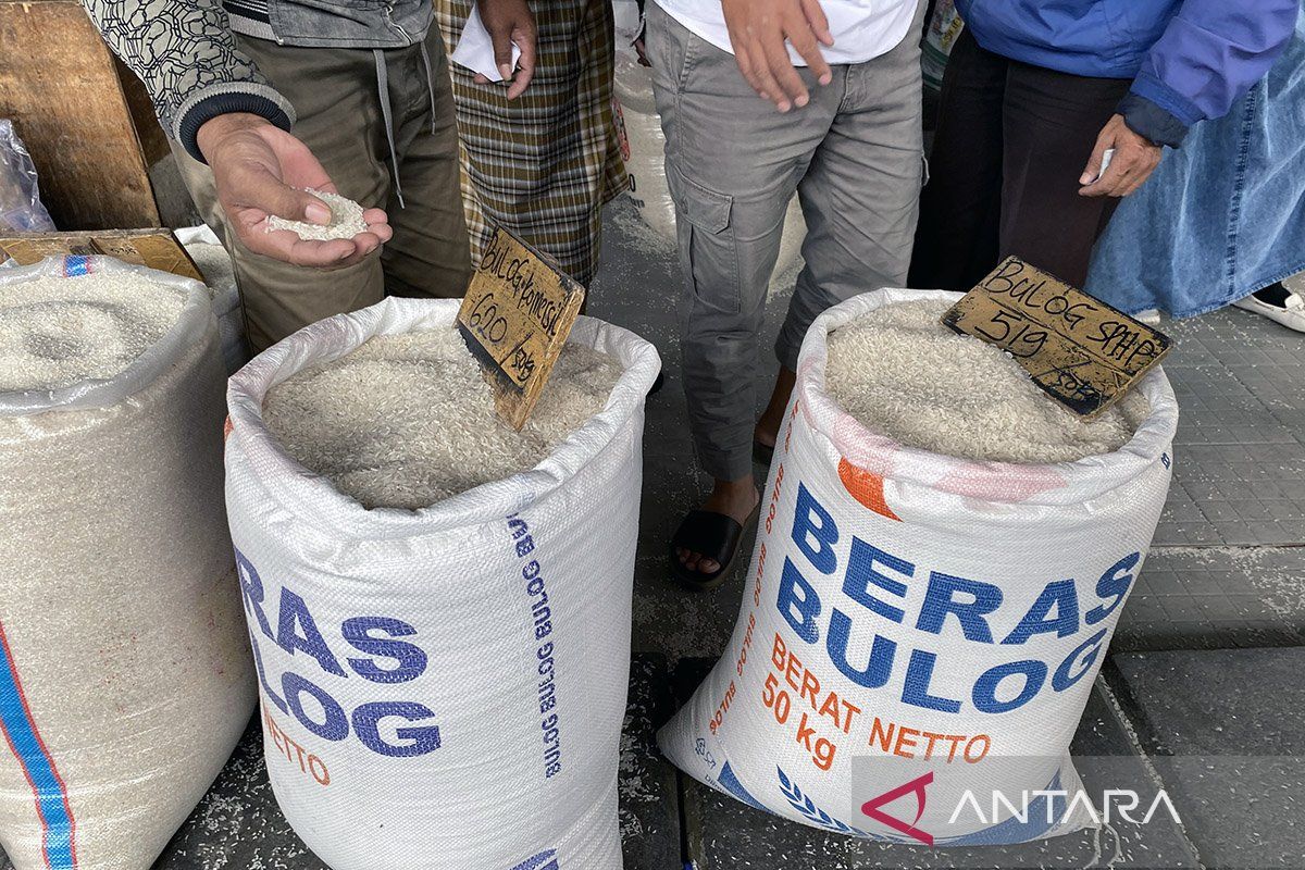 Harga beras masih mahal, Ombudsman duga ada penyalahgunaan beras SPHP