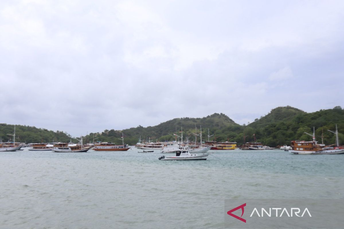 Kapal wisata dilarang berlayar ke Pulau Komodo NTT