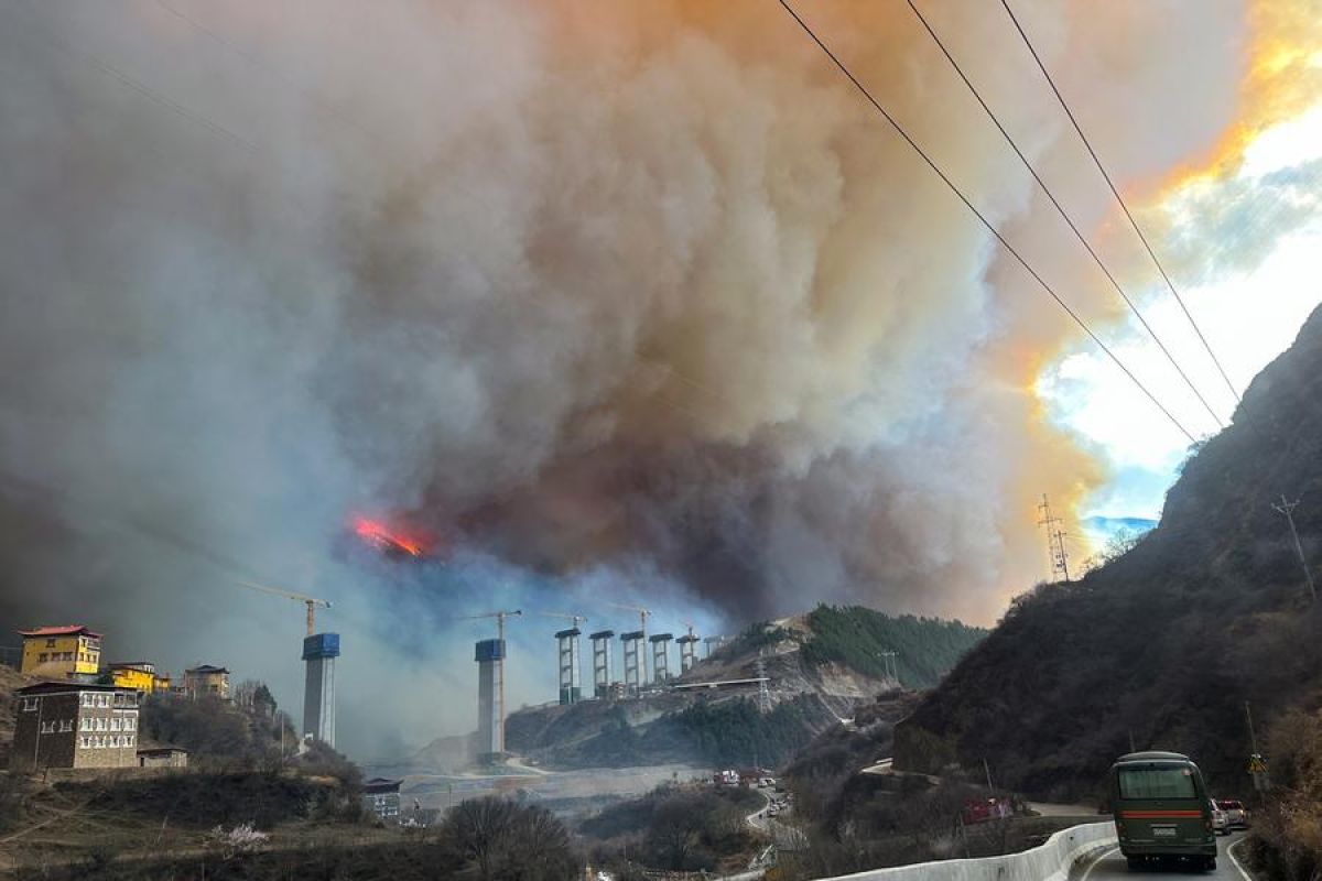 Kebakaran hutan landa Provinsi Sichuan, tidak ada laporan korban jiwa