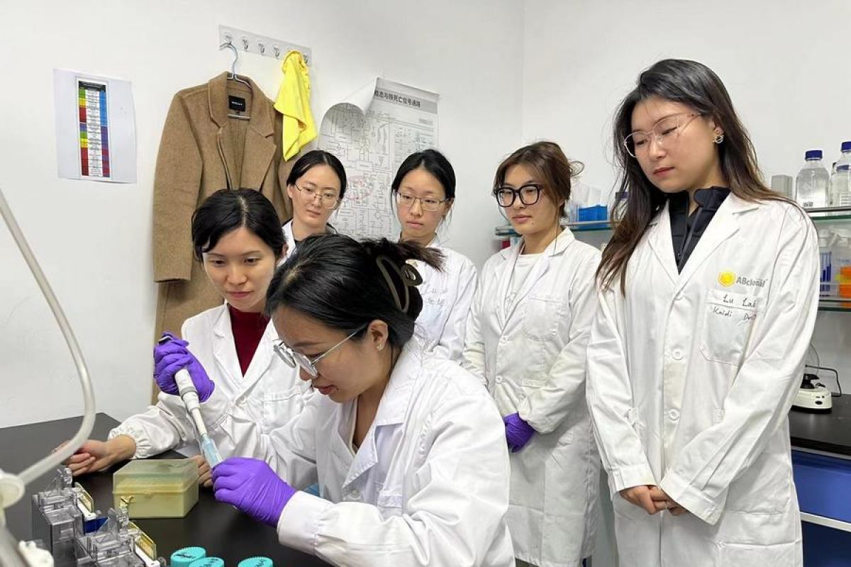 China kembangkan agen imunoterapi baru untuk obati kanker usus besar
