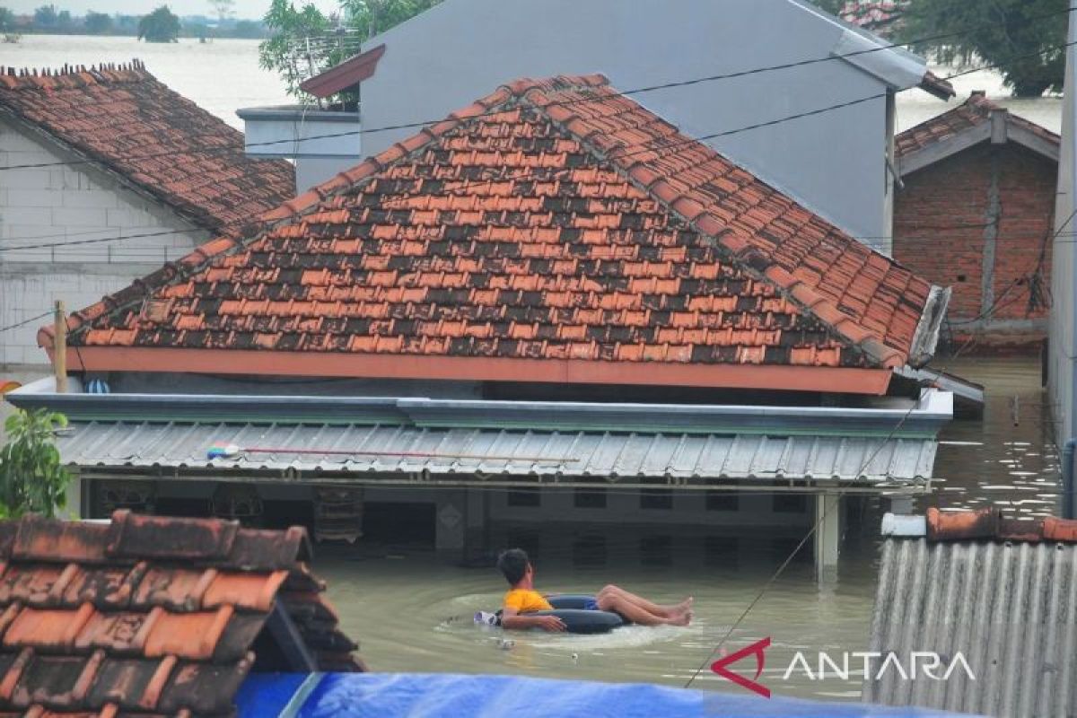 Banjir Rendam Ribuan Rumah Di Demak - ANTARA News