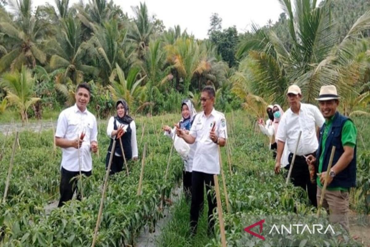 Pemkab Bombana fasilitasi petani kelolah kebun hortikultura