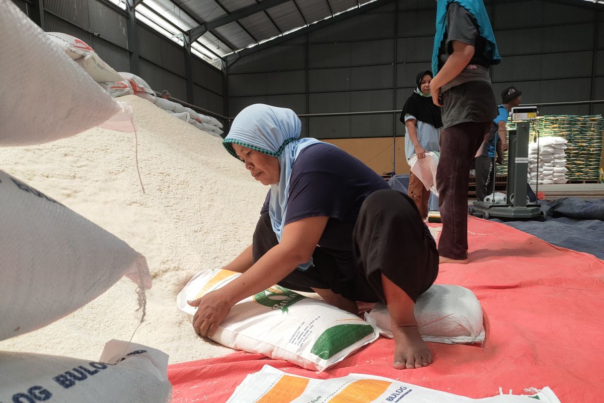 DKP Mataram cek kualitas beras CPP untuk 38.203 keluarga penerima