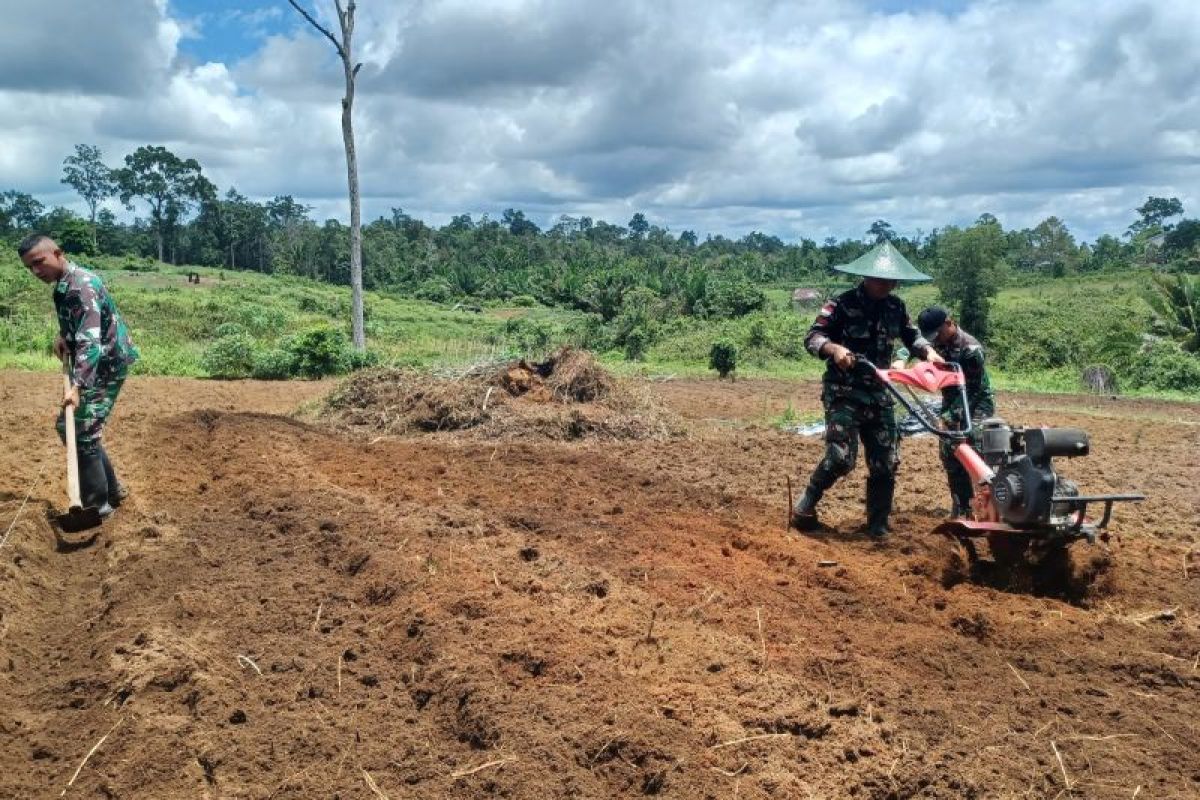 Yonif 125/SI'MBISA membuka lahan pertanian 34 hektare di Papua Selatan