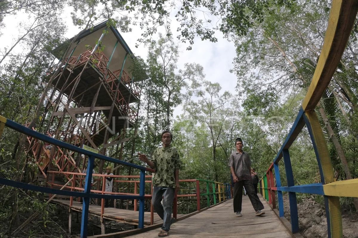 Bupati Tanjabbar berharap Menparekraf benahi Hutan Wisata Mangrove Pangkal Babu