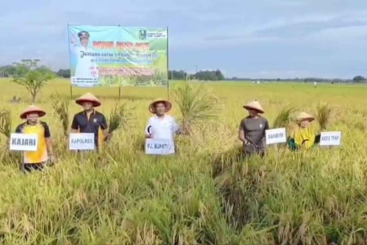 Pj Bupati: Petani Magetan harus bantu serapan gabah stok pangan