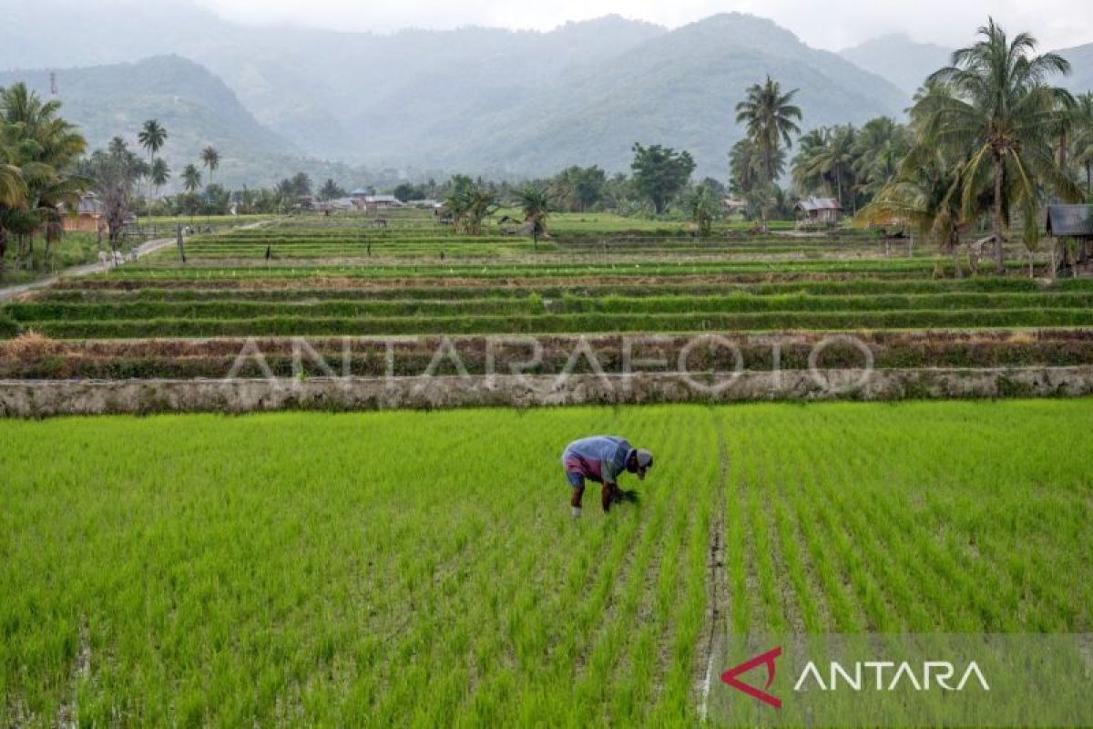 Menyatukan data dan Indeks Desa untuk membangun Indonesia