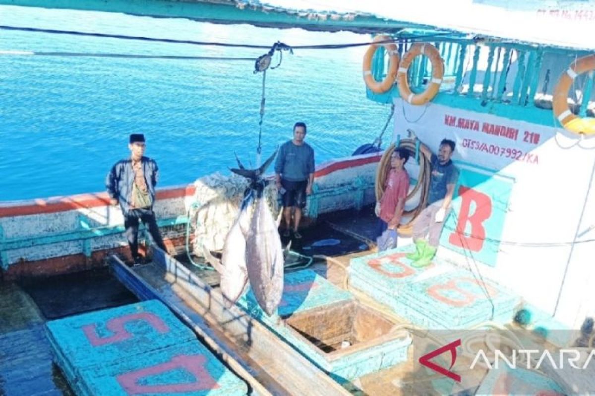 Operasional pabrik ikan tuna di Biak mampu serap tenaga kerja lokal