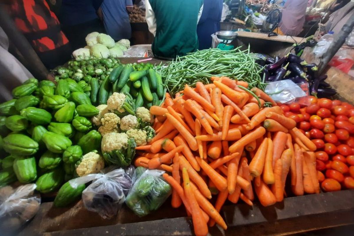 Tanjabar revitalisasi pertanian manfaatkan lahan kosong produksi pangan