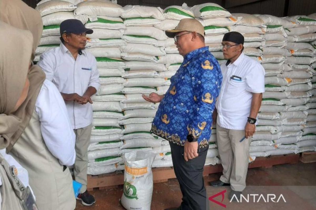 Bulog Palopo: Stok beras 4.000 ton aman hingga enam bulan