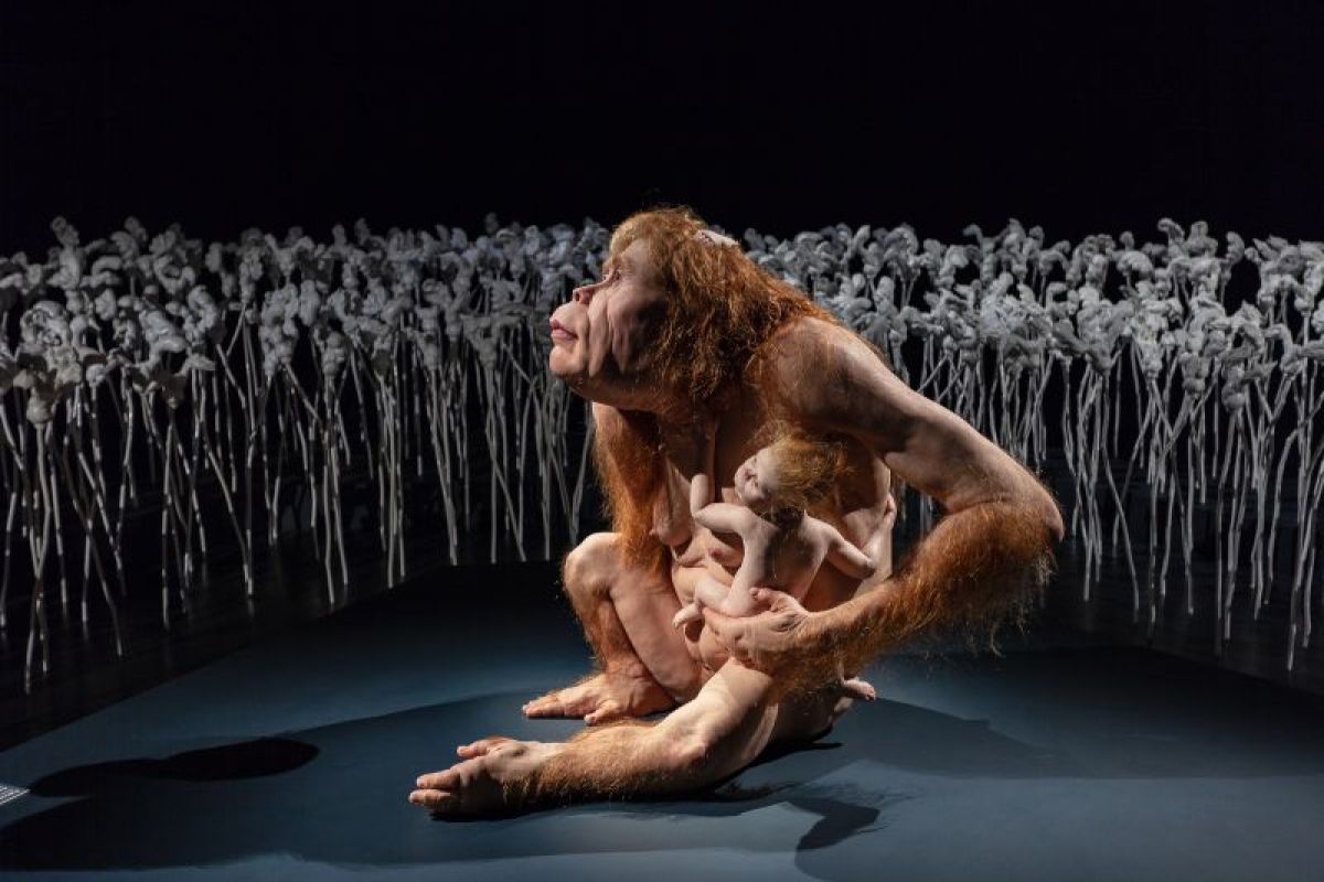 Museum MACAN pamerkan karya perupa Patricia Piccinini dari Australia