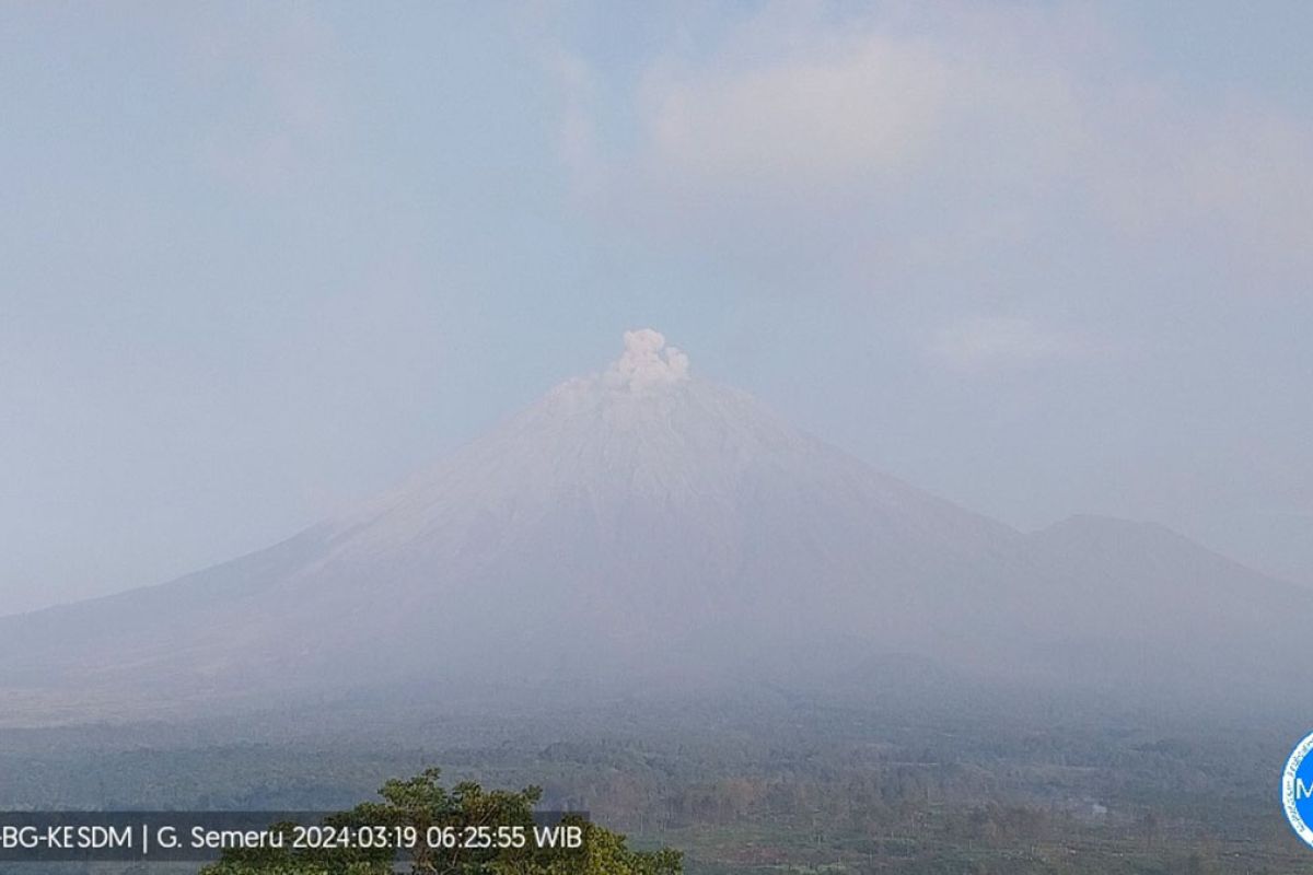 Gunung Semeru kembali erupsi setinggi 500 meter