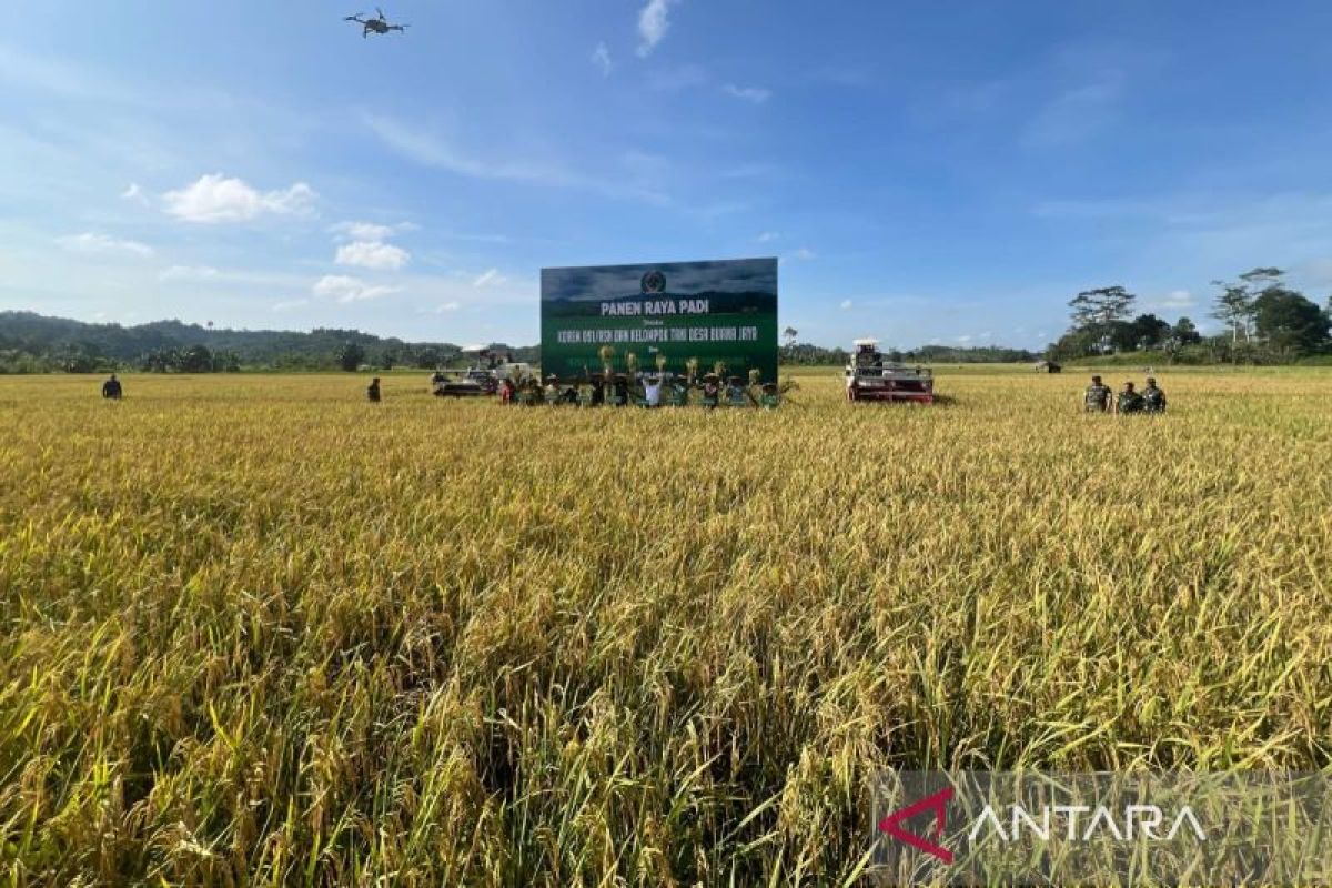 Desa di Kaltim bertransformasi bangun  ketahanan pangan berkelanjutan