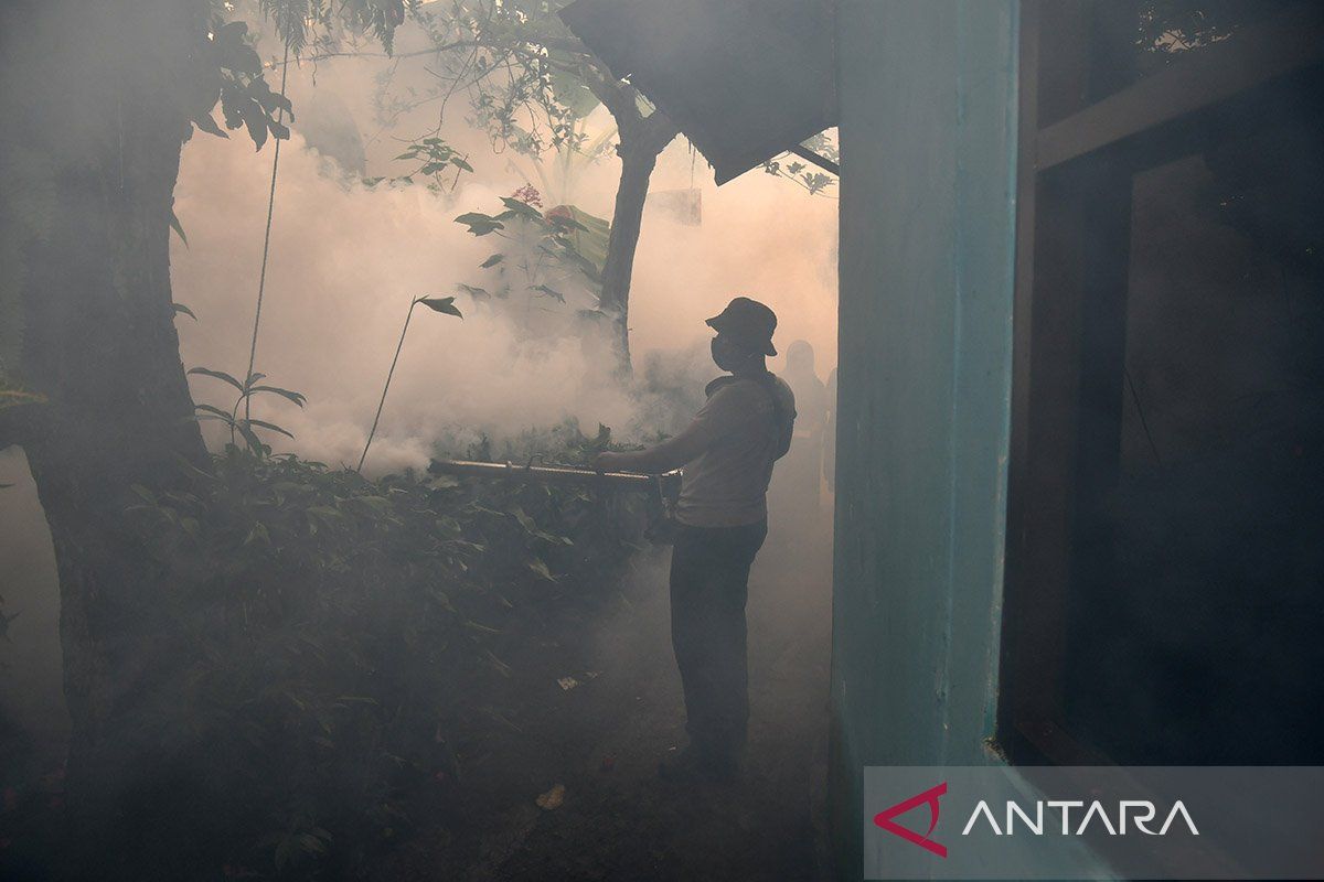 Dengue fever deaths in Indonesia up 179 percent