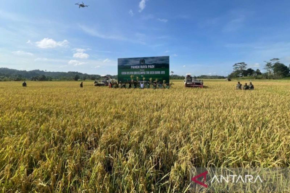 BRIN bangun data geoinfomasi untuk bantu mewujudkan ketahanan pangan