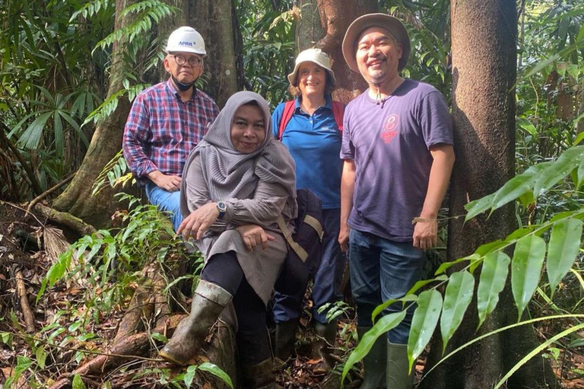 Pakar: Pembakaran lahan gambut percepat pemanasan global