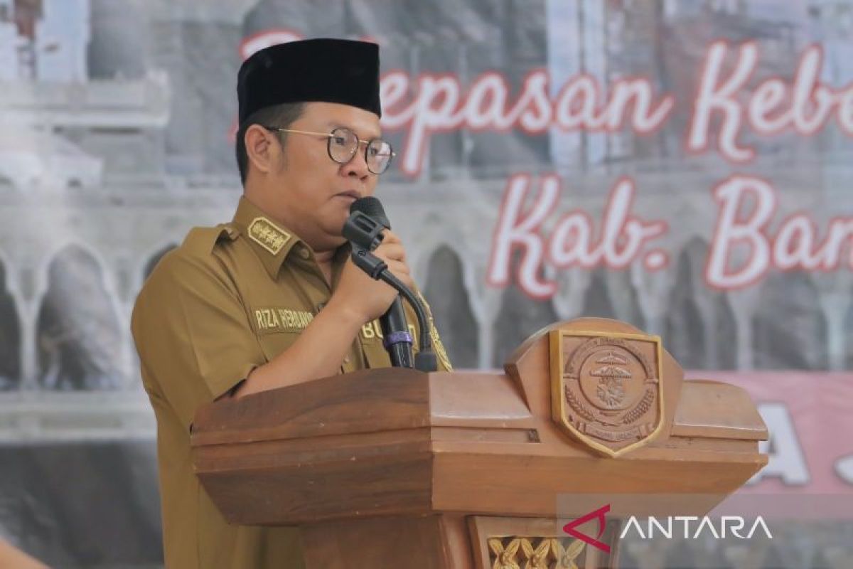 Bangka Selatan terima dana insentif daerah Rp11 miliar