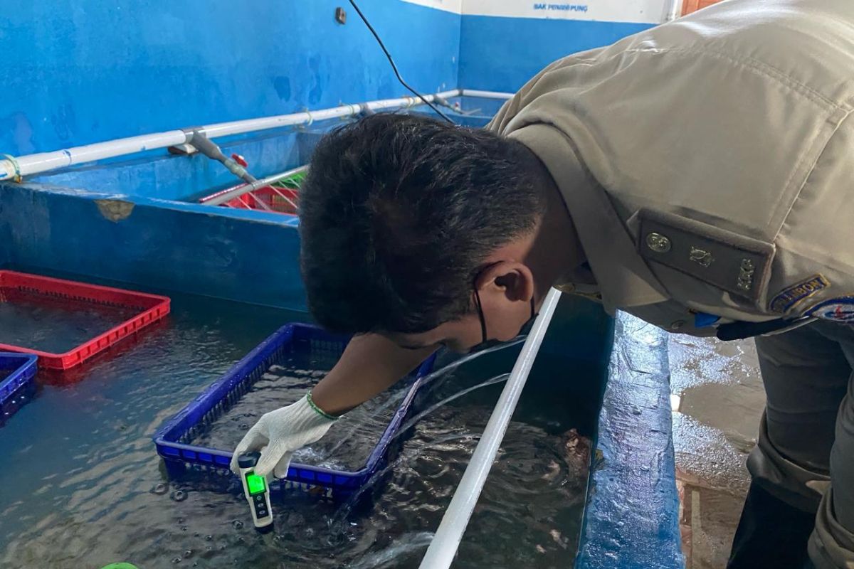 BKHIT Maluku pantau penerapan karantina ikan di Kabupaten Kepulauan Aru