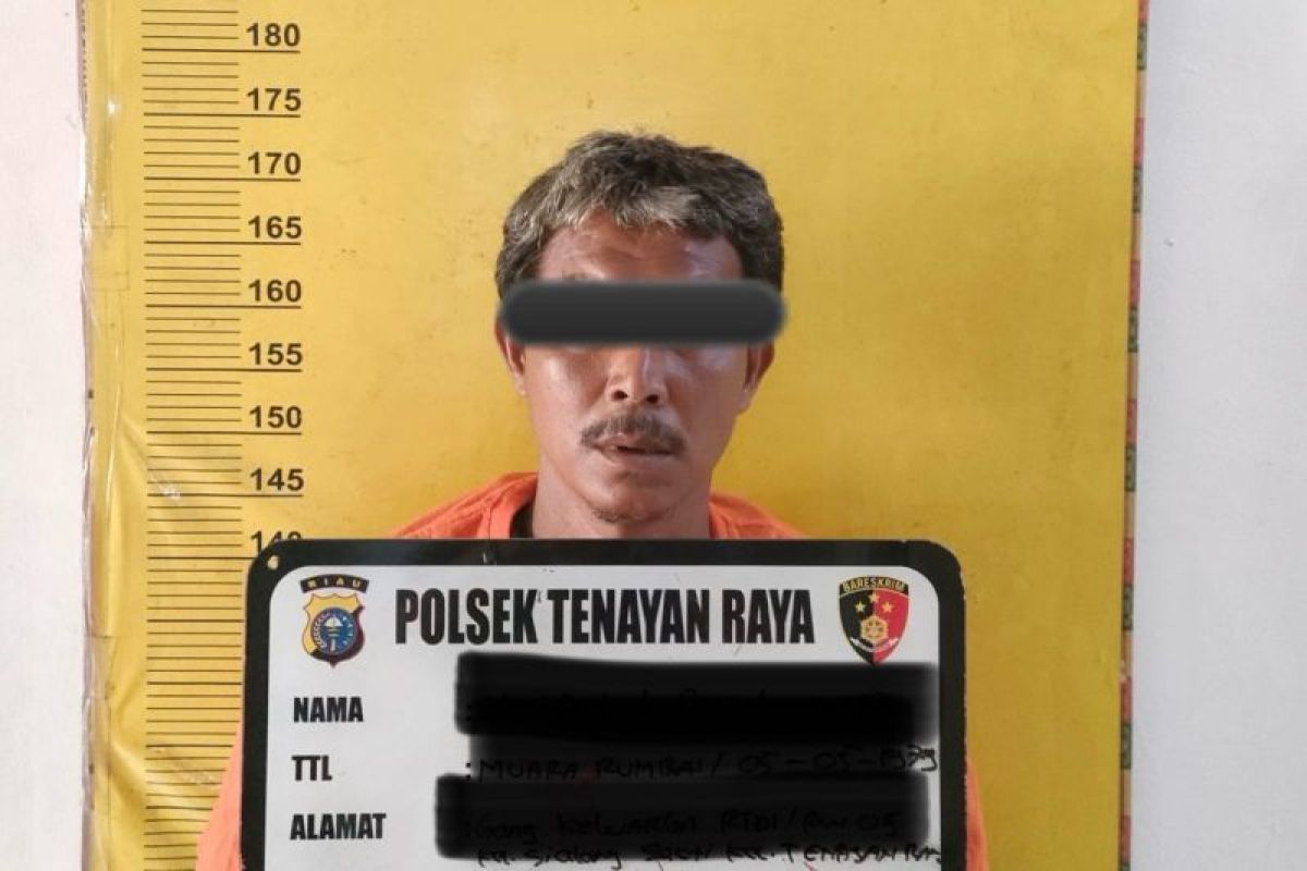Pencuri pagar besi di Pekanbaru ditangkap, ini pengakuannya