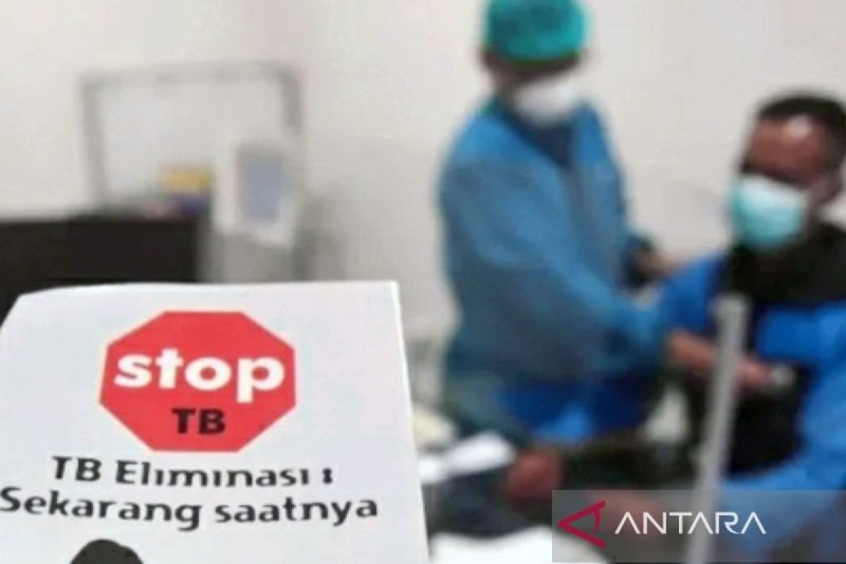 Dokter: TB dapat menyebar ke organ selain paru-paru