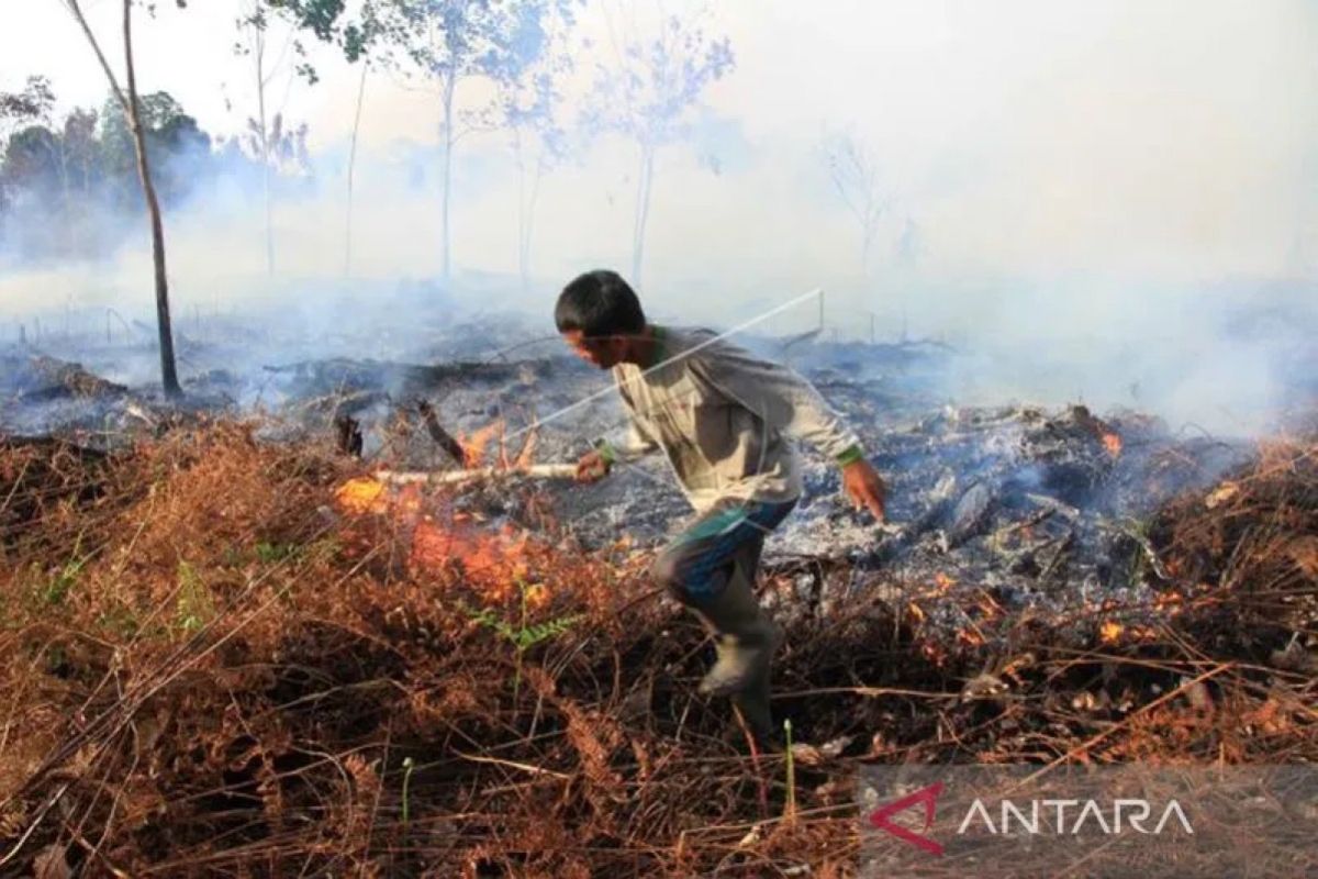 BMKG imbau warga Aceh waspada potensi karhutla di musim kemarau