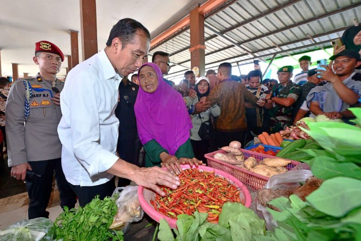 Presiden Jokowi sebut harga bahan pokok di Pasar Sebukit Rama