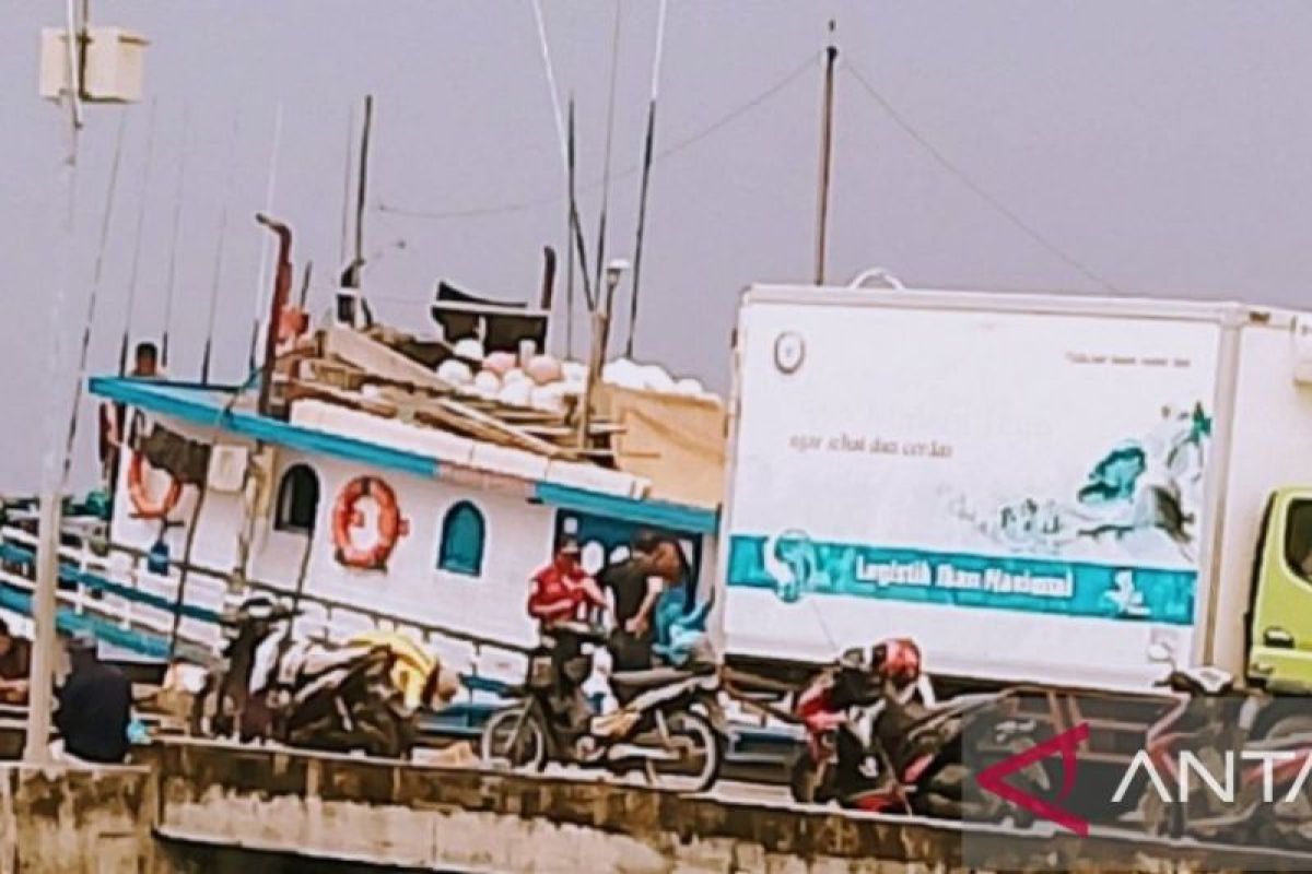 Pemkab: Syahbandar perikanan berwenang melakukan pengawasan kapal ikan