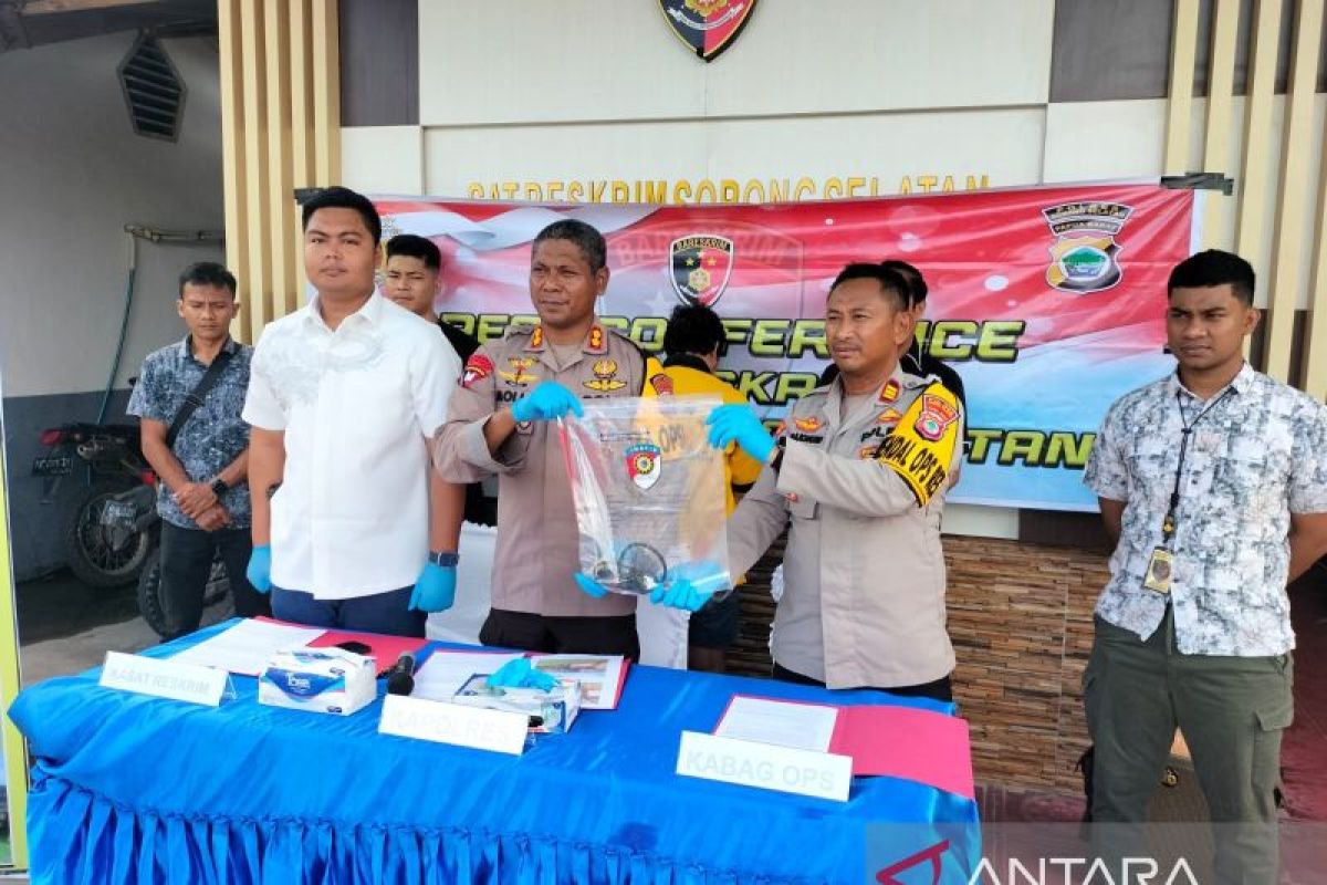 Polres Sorsel tangkap pengusaha bersama truk bermuatan kayu merbau