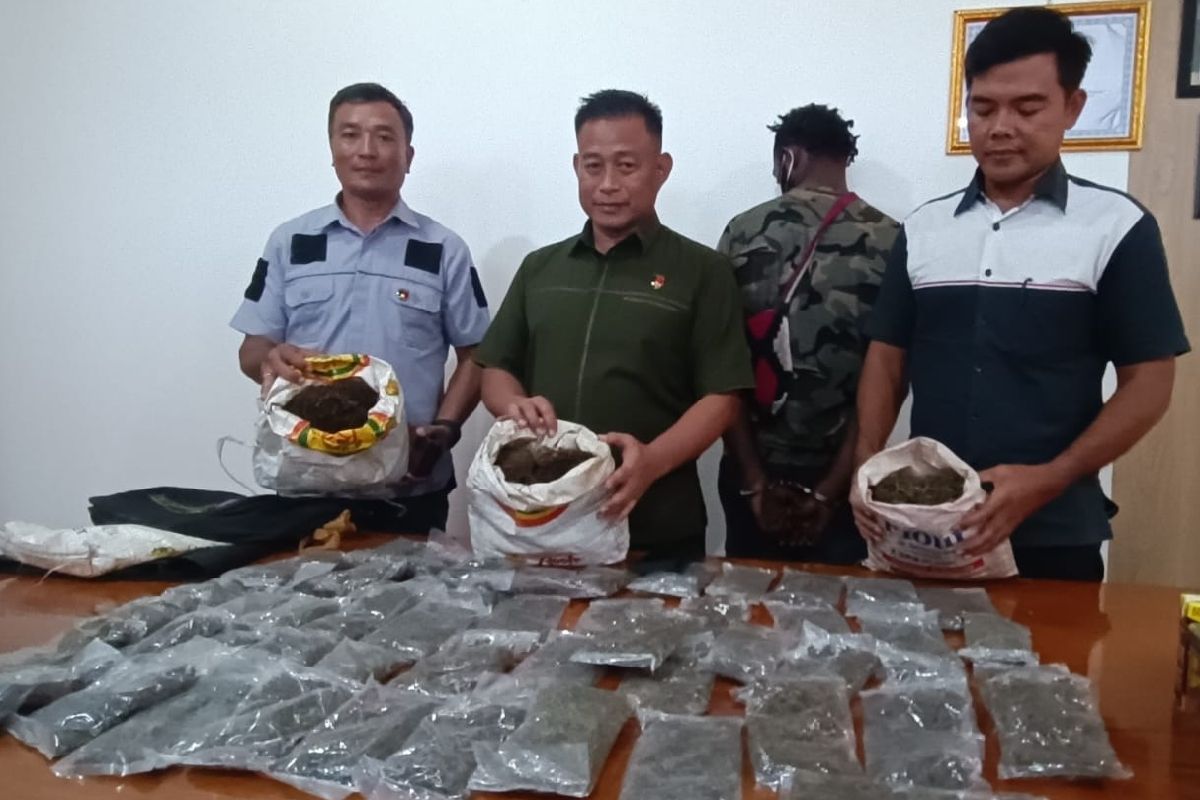 Polda Papua sebut dua warga PNG ditangkap membawa 51 paket ganja