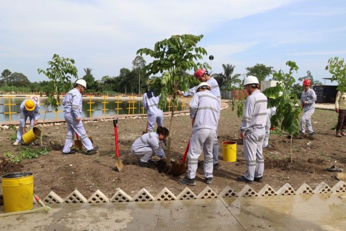 Huabao tanam 100 pohon upaya menciptakan lingkungan industri hijau