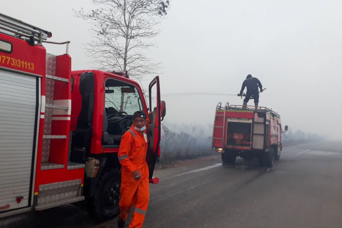 Lahan seluas 240 hektare di Natuna terbakar