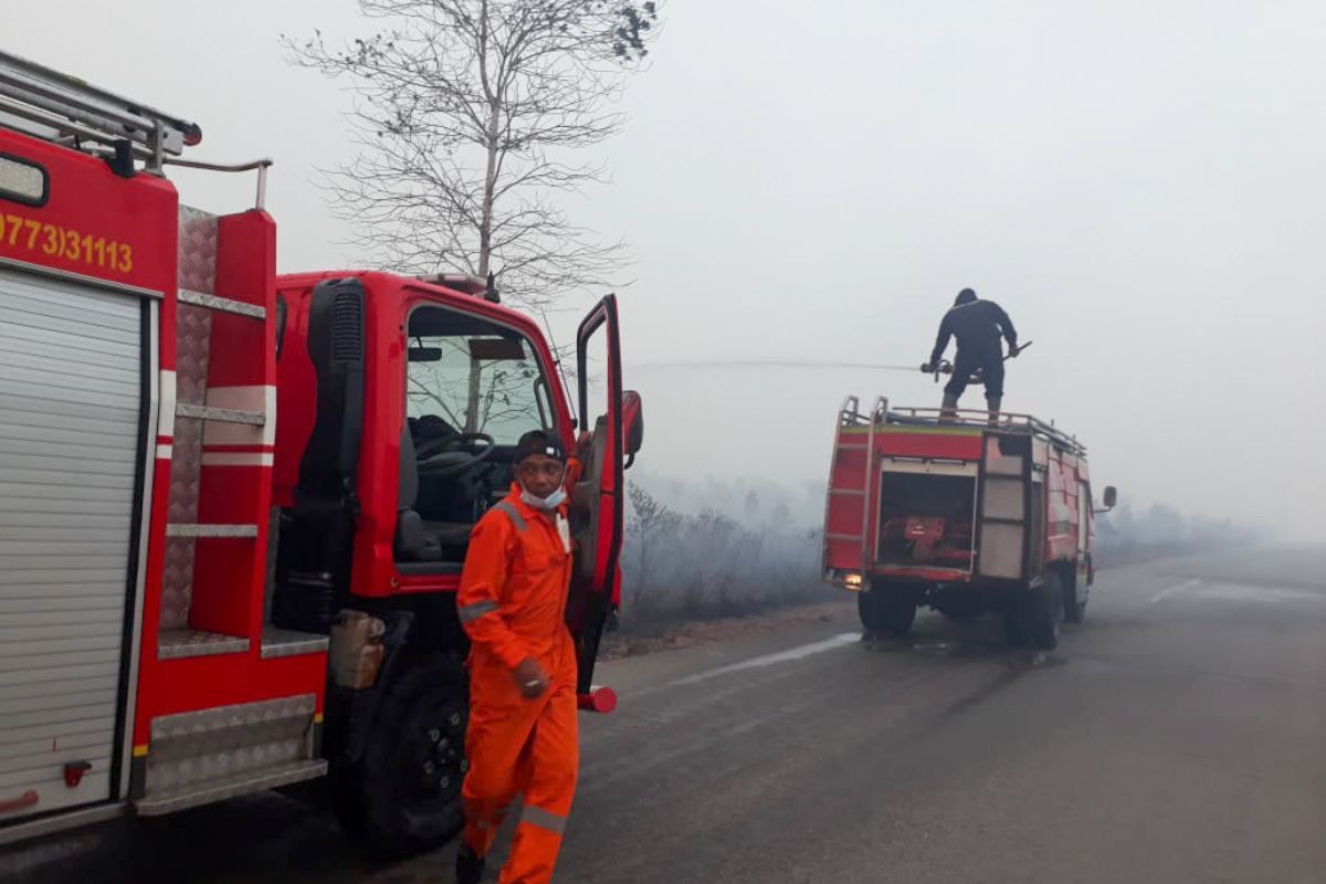 240 hektare lahan di Natuna terbakar