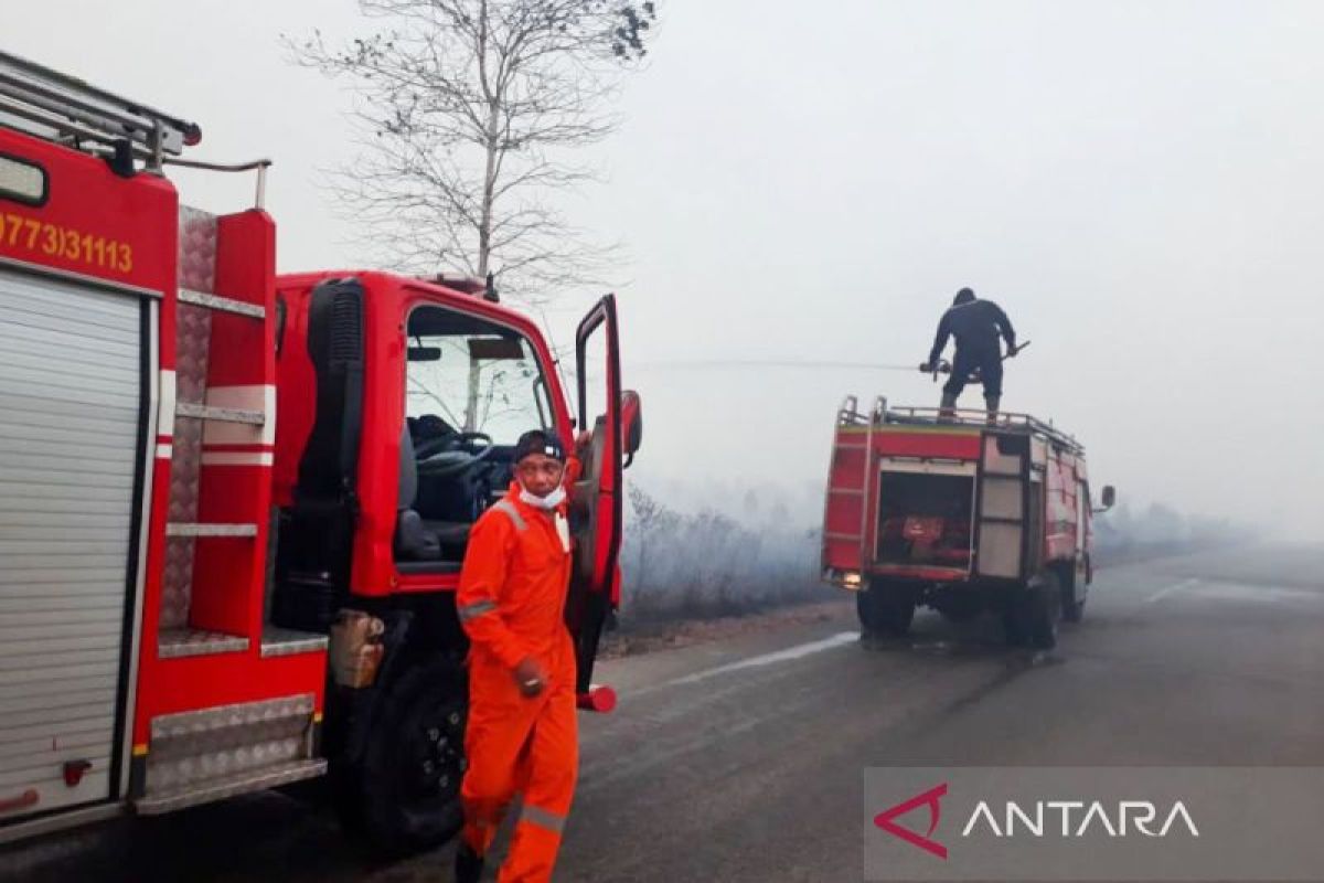 240 hektare lahan di Natuna terbakar