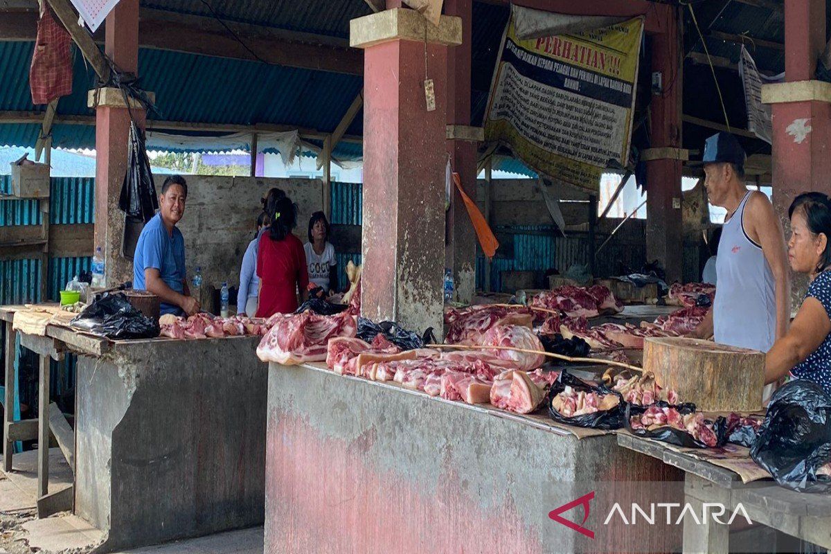 DPKH Mimika periksa ternak babi sebelum dijual di Pasar Sentral